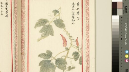 毛诗品物图考（一）册 葛之覃兮 1.jpg