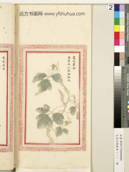 毛诗品物图考（一）册 葛之覃兮 2.jpg