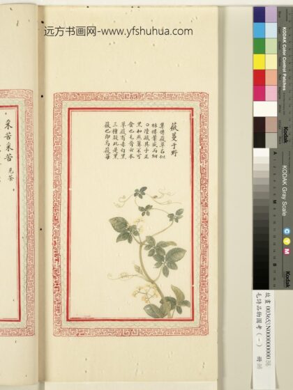 毛诗品物图考（一）册 蘝蔓于野 1.jpg
