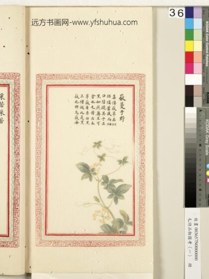 毛诗品物图考（一）册 蘝蔓于野 2.jpg