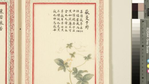 毛诗品物图考（一）册 蘝蔓于野 2.jpg