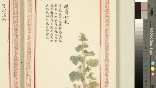 毛诗品物图考（一）册 视尔如荍 1.jpg