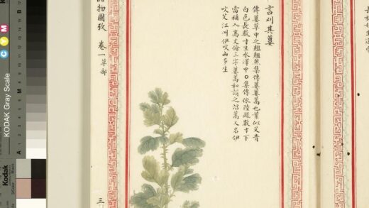 毛诗品物图考（一）册 言刈其蒌 1.jpg