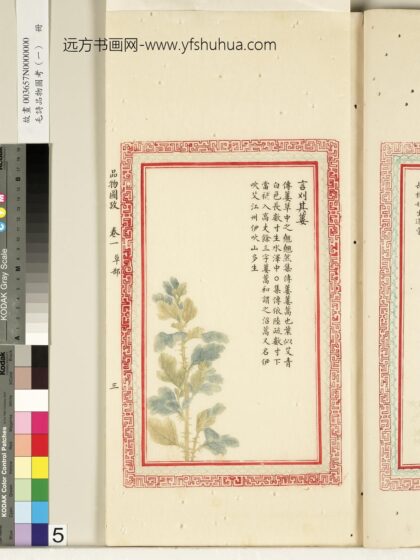 毛诗品物图考（一）册 言刈其蒌 2.jpg