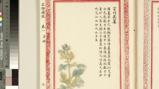 毛诗品物图考（一）册 言刈其蒌 2.jpg