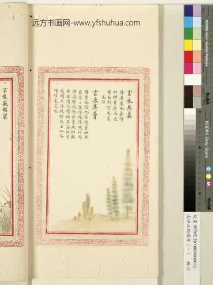 毛诗品物图考（一）册 言采其莫言采其藚 1.jpg