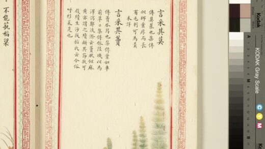 毛诗品物图考（一）册 言采其莫言采其藚 1.jpg