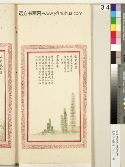 毛诗品物图考（一）册 言采其莫言采其藚 2.jpg