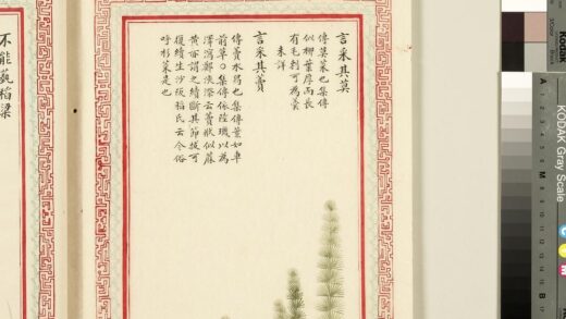 毛诗品物图考（一）册 言采其莫言采其藚 2.jpg