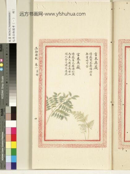 毛诗品物图考（一）册 言采其蕨言采其薇 1.jpg