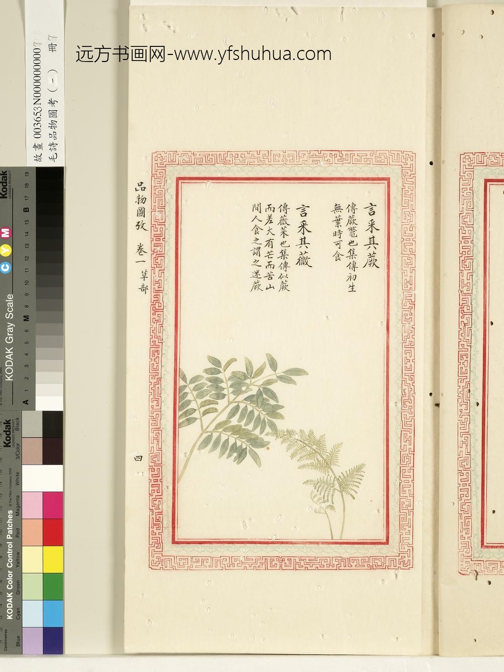 毛诗品物图考（一）册-言采其蕨言采其薇-