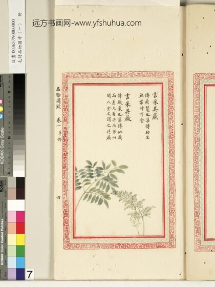 毛诗品物图考（一）册 言采其蕨言采其薇 2.jpg