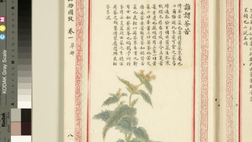 毛诗品物图考（一）册 谁谓荼苦 1.jpg