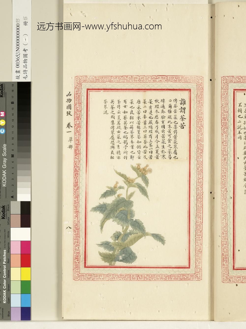 毛诗品物图考（一）册-谁谓荼苦-