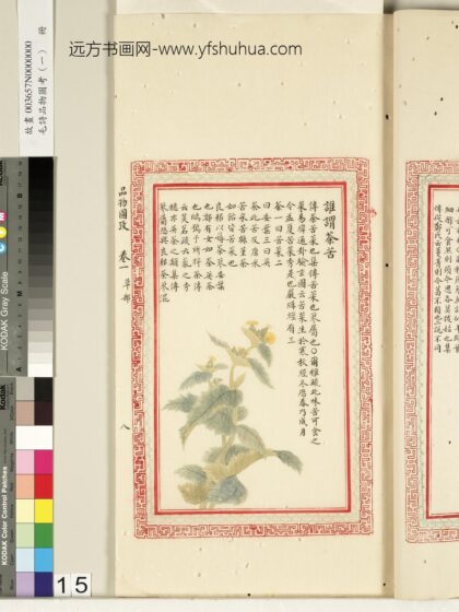 毛诗品物图考（一）册 谁谓荼苦 2.jpg