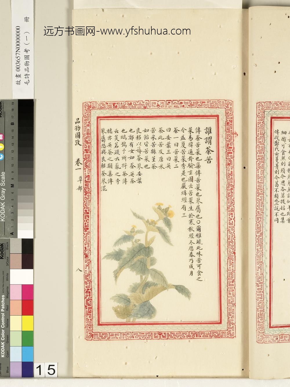 毛诗品物图考（一）册-谁谓荼苦-