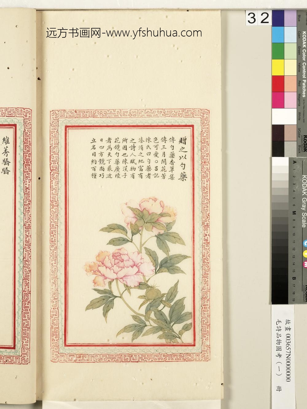 毛诗品物图考（一）册-赠之以勺药-