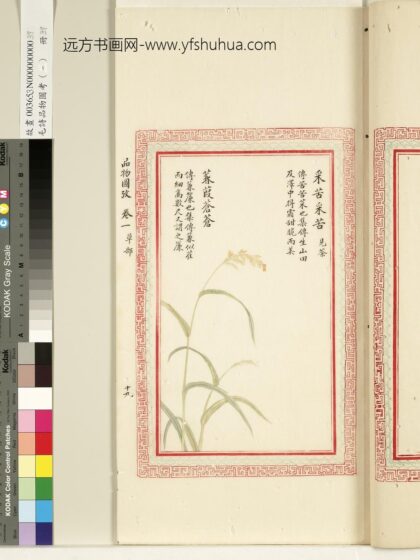 毛诗品物图考（一）册 采苦采苦蒹葭苍苍 1.jpg