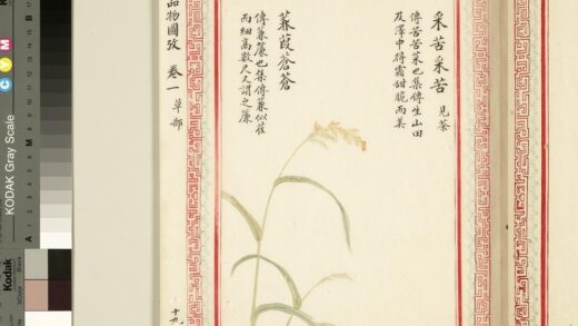 毛诗品物图考（一）册 采苦采苦蒹葭苍苍 1.jpg