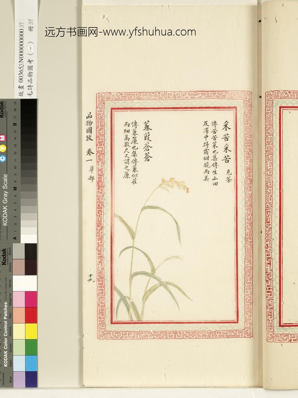 毛诗品物图考（一）册-采苦采苦蒹葭苍苍-