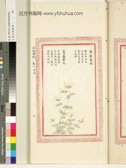 毛诗品物图考（一）册 采采卷耳葛藟累之 1.jpg