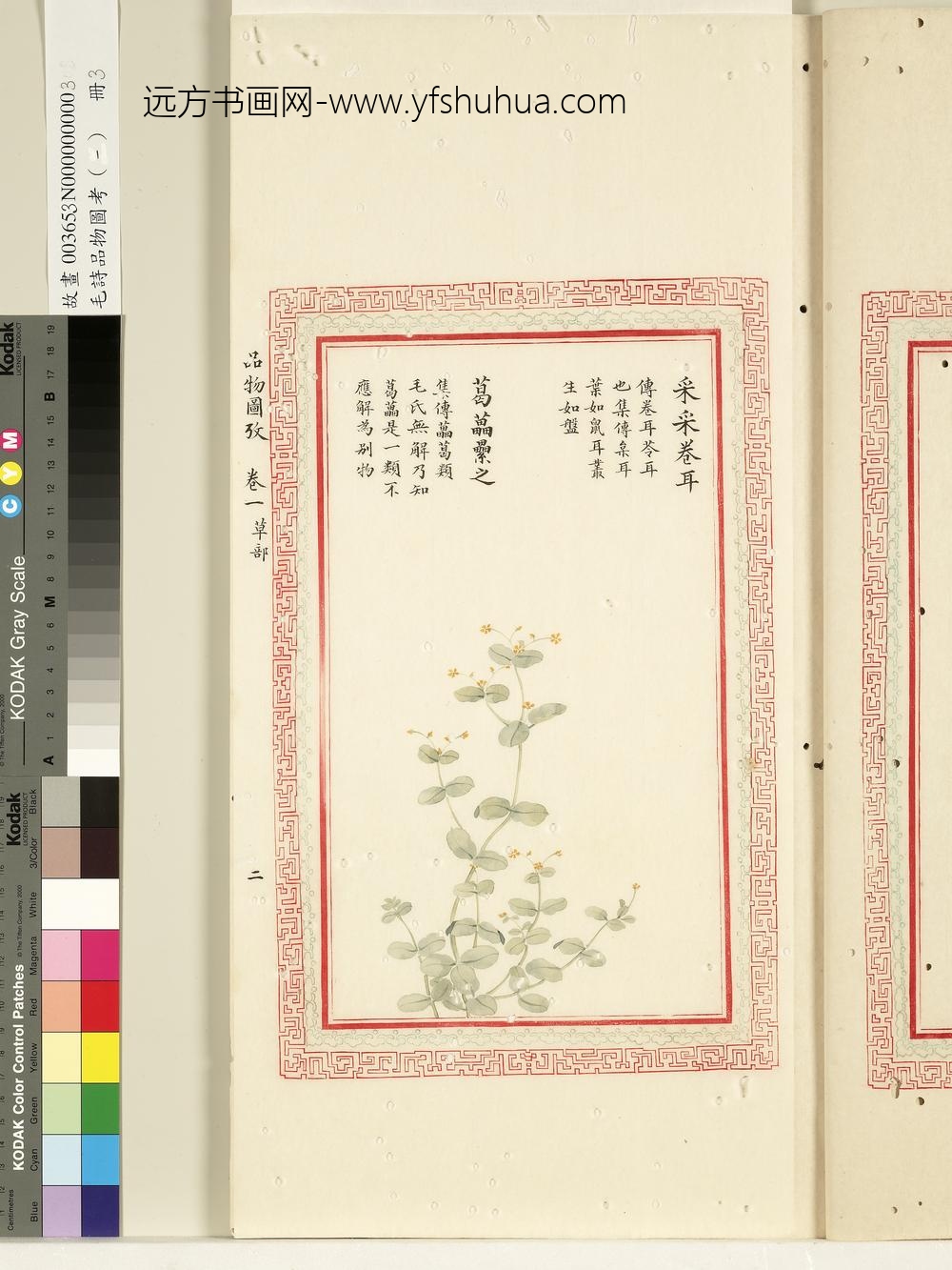 毛诗品物图考（一）册-采采卷耳葛藟累之-