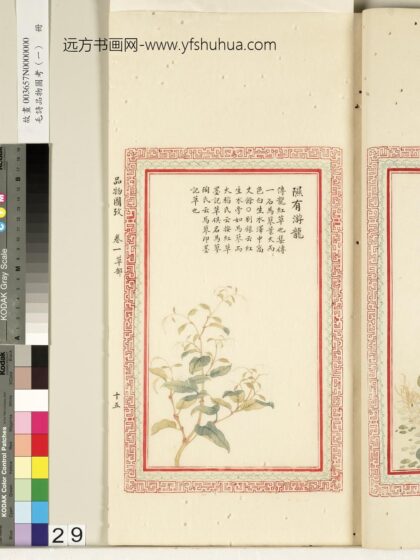 毛诗品物图考（一）册 隰有游龙 2.jpg