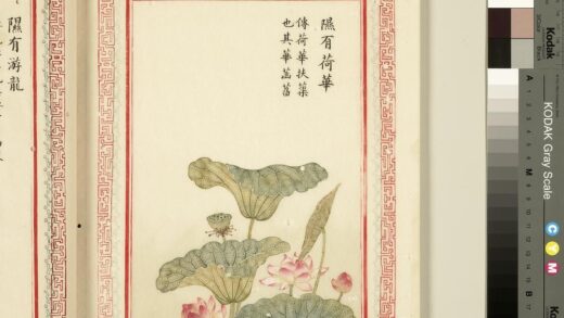 毛诗品物图考（一）册 隰有荷华 1.jpg