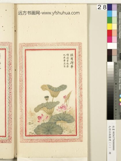 毛诗品物图考（一）册 隰有荷华 2.jpg