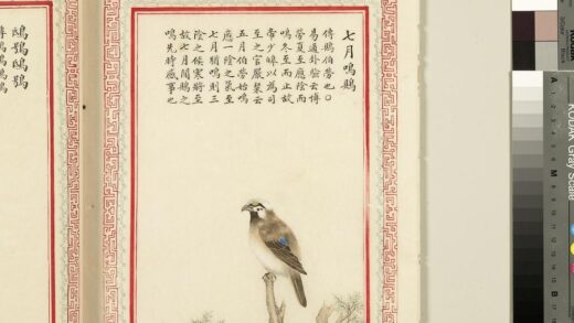 毛诗品物图考（三）册 七月鸣鵙.jpg