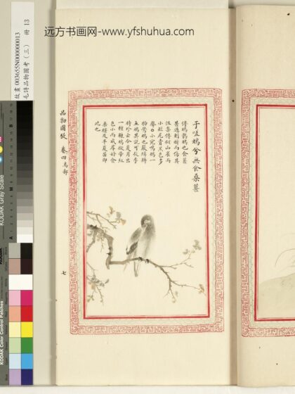 毛诗品物图考（三）册 于嗟鸠兮无食桑葚 1.jpg