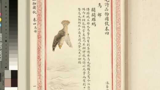 毛诗品物图考（三）册 关关雎鸠 1.jpg