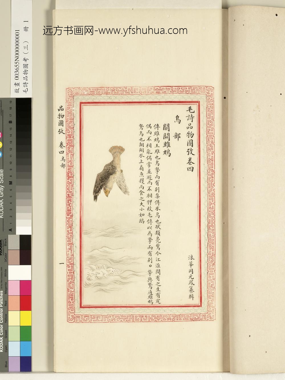 毛诗品物图考（三）册-关关雎鸠-