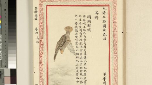 毛诗品物图考（三）册 关关雎鸠 2.jpg