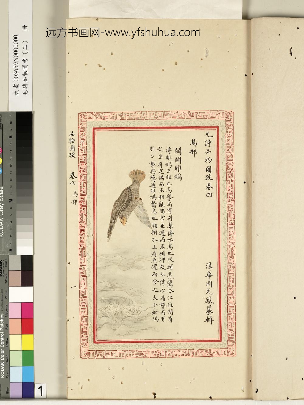 毛诗品物图考（三）册-关关雎鸠-