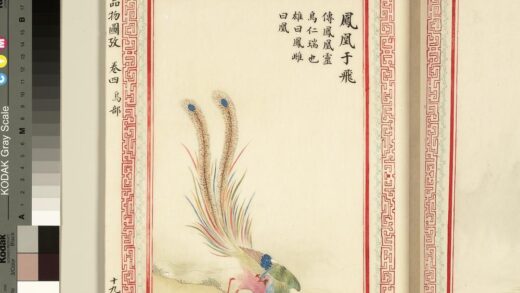 毛诗品物图考（三）册 凤凰于飞 1.jpg