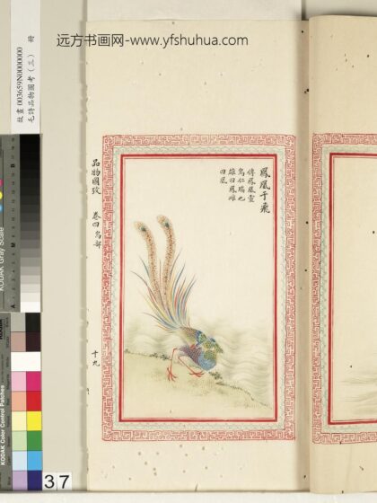 毛诗品物图考（三）册 凤凰于飞 2.jpg