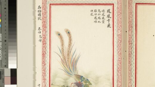 毛诗品物图考（三）册 凤凰于飞 2.jpg