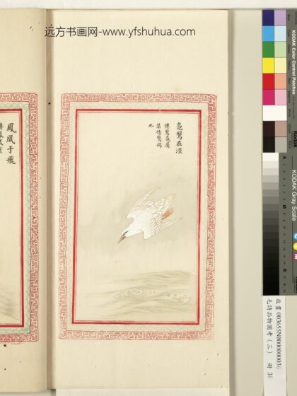 毛诗品物图考（三）册 凫鹥在泾 1.jpg