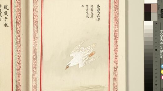 毛诗品物图考（三）册 凫鹥在泾 1.jpg