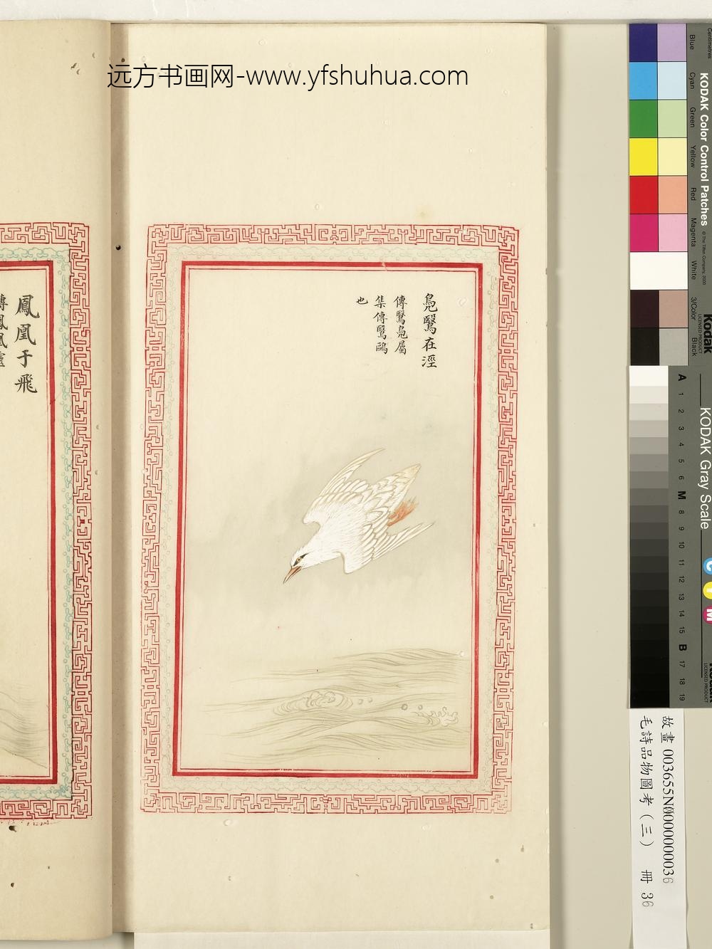 毛诗品物图考（三）册-凫鹥在泾-