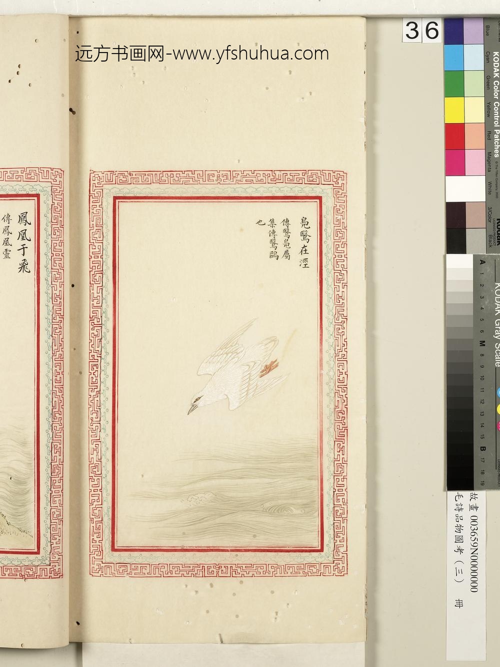 毛诗品物图考（三）册-凫鹥在泾-