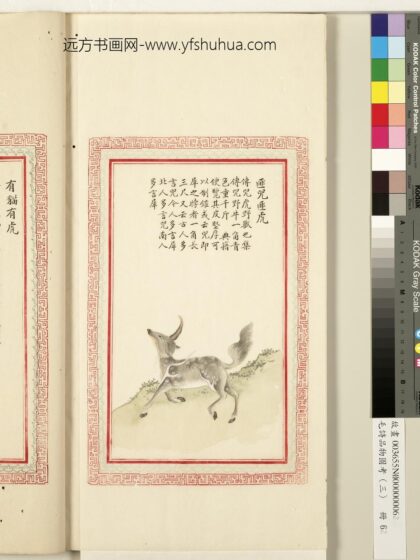 毛诗品物图考（三）册 匪兕匪虎有猫有虎献其貔皮赤豹黄罴 11.jpg