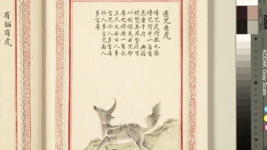 毛诗品物图考（三）册 匪兕匪虎有猫有虎献其貔皮赤豹黄罴 11.jpg