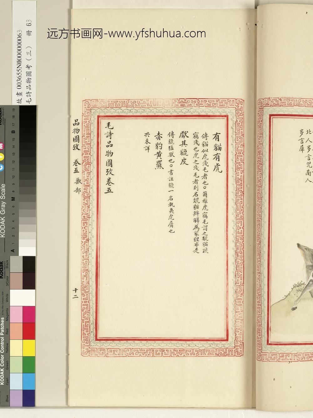 毛诗品物图考（三）册-匪兕匪虎有猫有虎献其貔皮赤豹黄罴-()