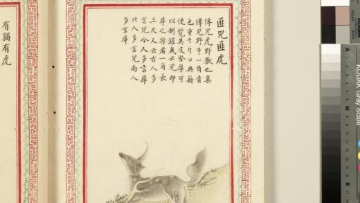 毛诗品物图考（三）册 匪兕匪虎有猫有虎献其貔皮赤豹黄罴 21.jpg