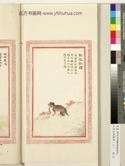 毛诗品物图考（三）册 取彼狐狸 1.jpg