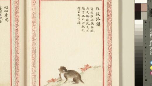 毛诗品物图考（三）册 取彼狐狸 1.jpg