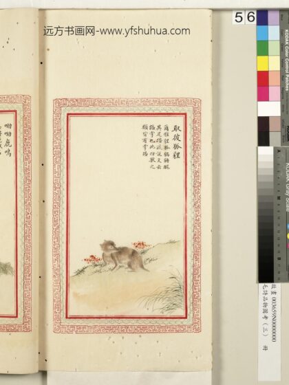 毛诗品物图考（三）册 取彼狐狸 2.jpg