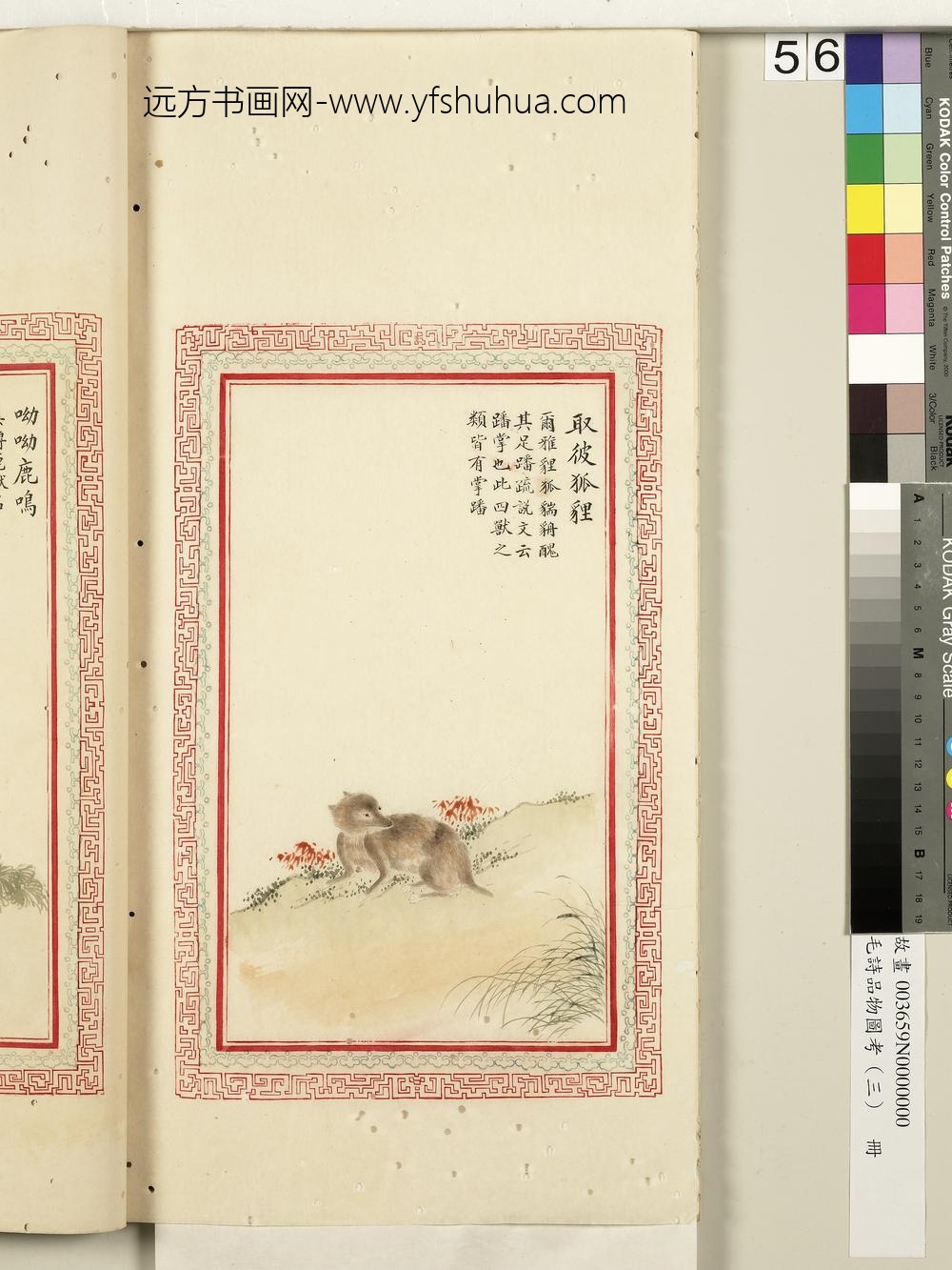 毛诗品物图考（三）册-取彼狐狸-